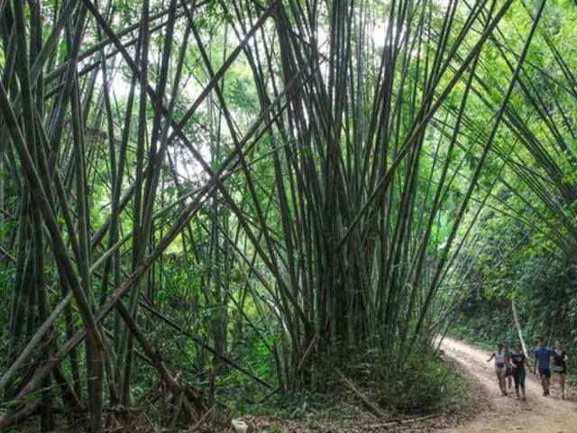 Laos to Northern Thailand: Treks & Trails