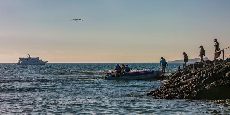Galápagos — South & East Islands aboard the Eden