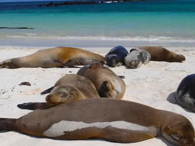 Galápagos — West & Central Islands aboard the Eden