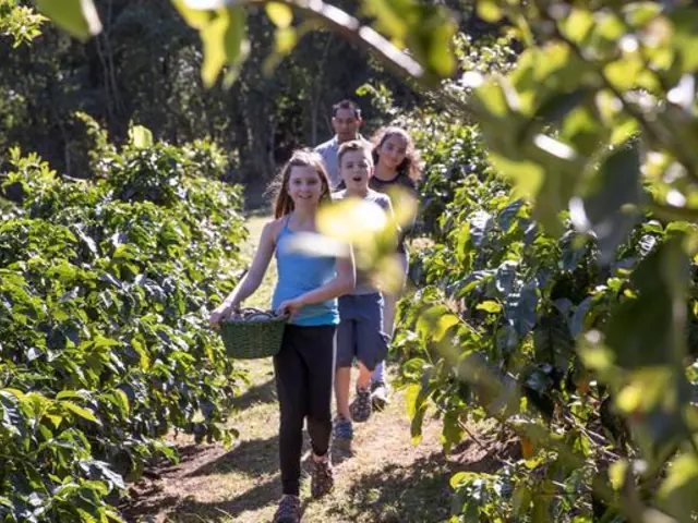 Costa Rica Family Journey: From Rainforest to Coast