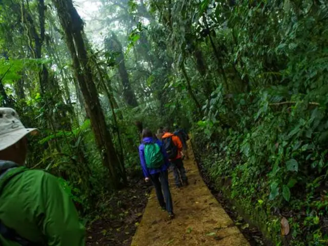 Costa Rica: Monteverde and La Fortuna