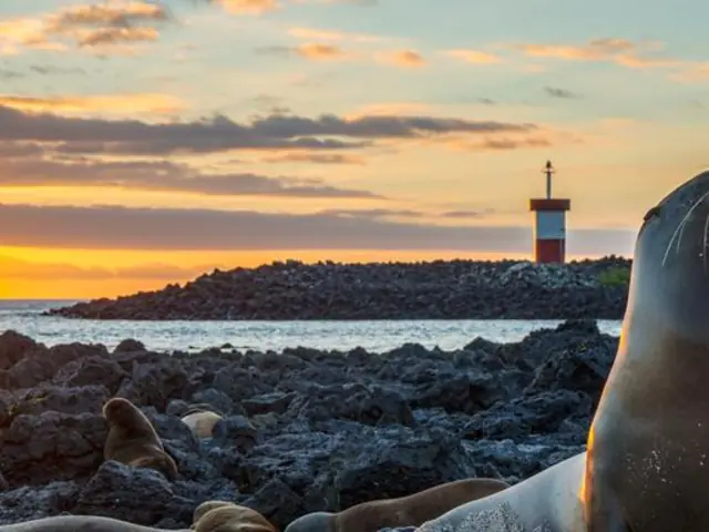 Galápagos – Central and East Islands aboard the Reina Silvia Voyager (Cruise Only)