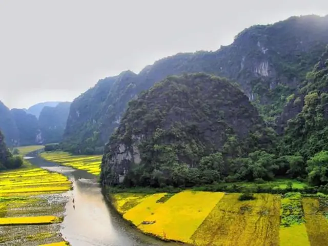 Hanoi Day Tour: Hao Lu and Tam Coc (Ninh Binh) (full day)