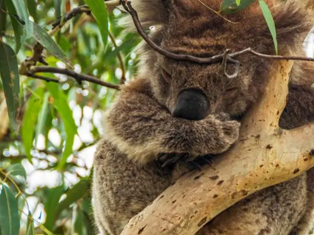 Highlights of Australia and New Zealand