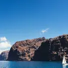 ff1d7d97df67fd266f07fe4b465afec0.jpg