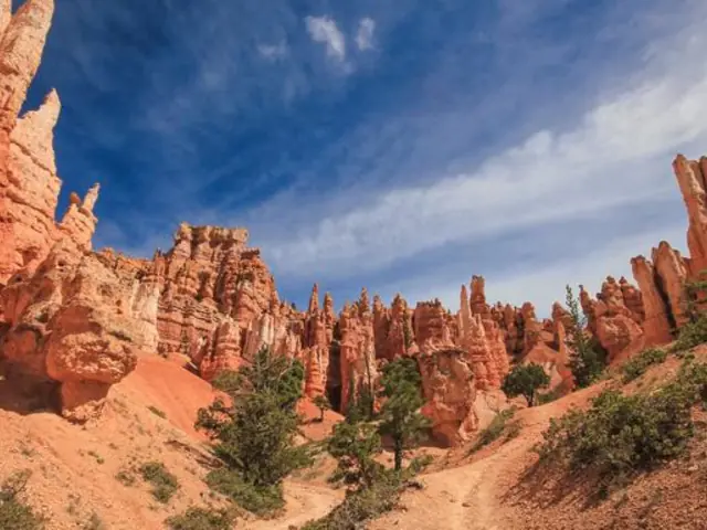 USA Road Trip: Big Cities & West Coast Parks