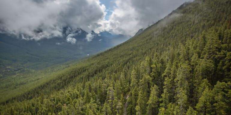 Active West Coast & Canadian Rockies