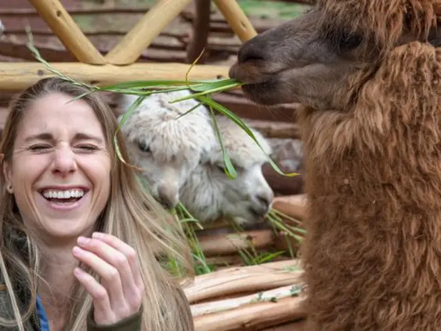 Inca Adventure: Cusco, Machu Picchu & the Best Views Ever