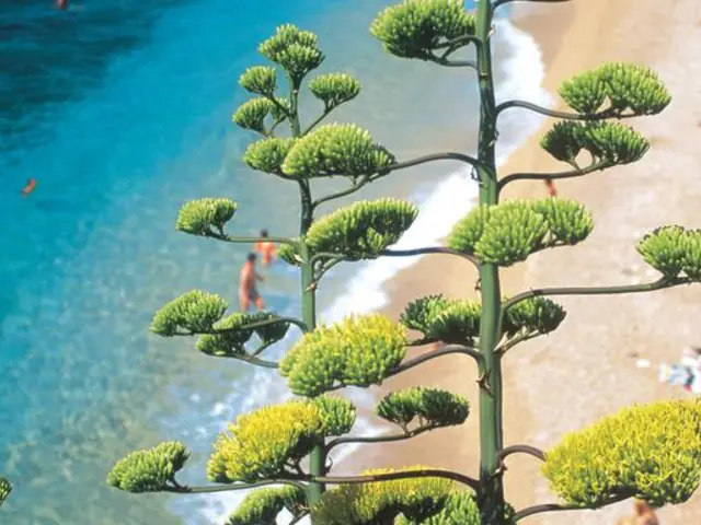 The Dalmatian Coast: Croatia, Corfu & Medieval Cities