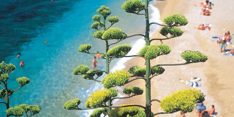 The Dalmatian Coast: Croatia, Corfu & Medieval Cities