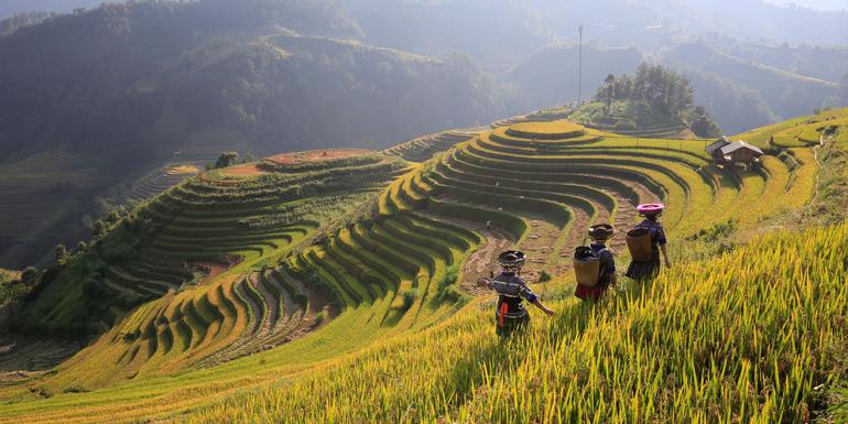 North & Central Vietnam: Hanoi, Hoi An & Countryside Adventures
