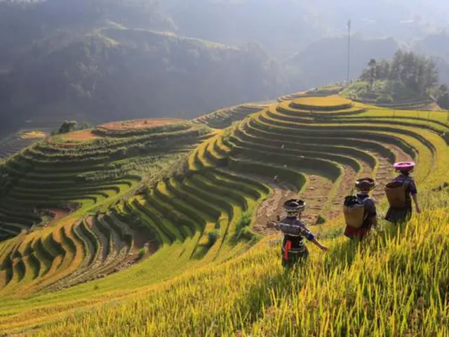 North & Central Vietnam: Hanoi, Hoi An & Countryside Adventures