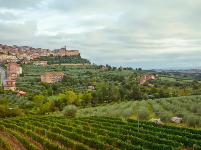 Tuscany to Cinque Terre: Wines, Villages & Unforgettable Walks