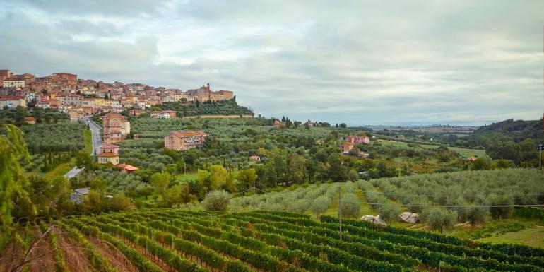 Tuscany to Cinque Terre: Wines, Villages & Unforgettable Walks