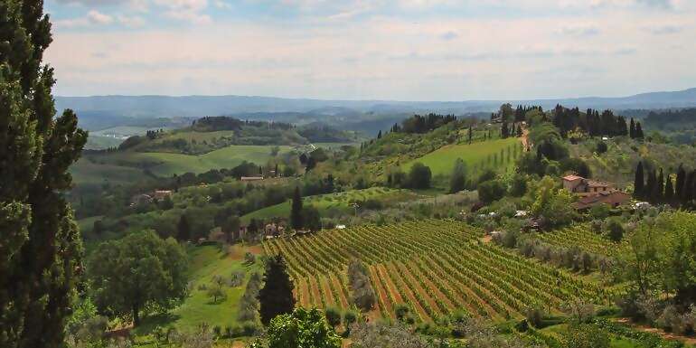 Italy: Tuscany and Umbria Vineyard Walks