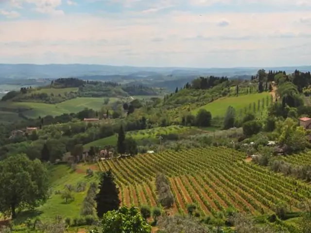 Italy: Tuscany and Umbria Vineyard Walks