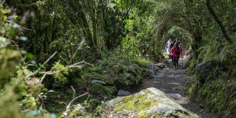 Peru: Inca Trail & the Amazon