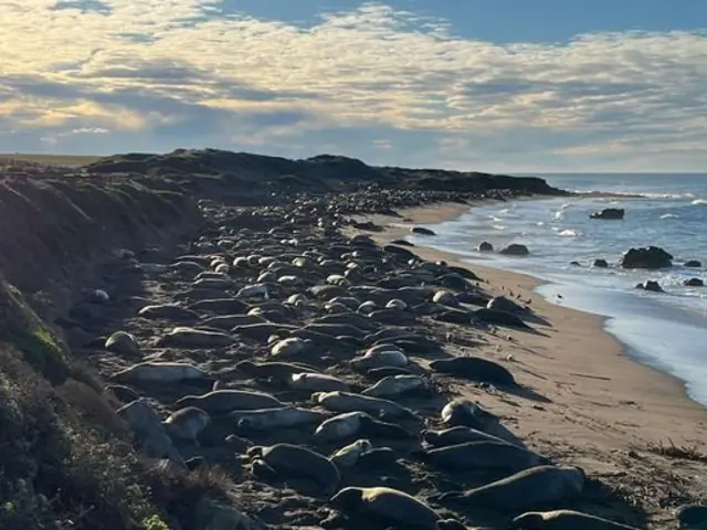 California Dreaming: Yosemite, Death Valley & Coastal Camping