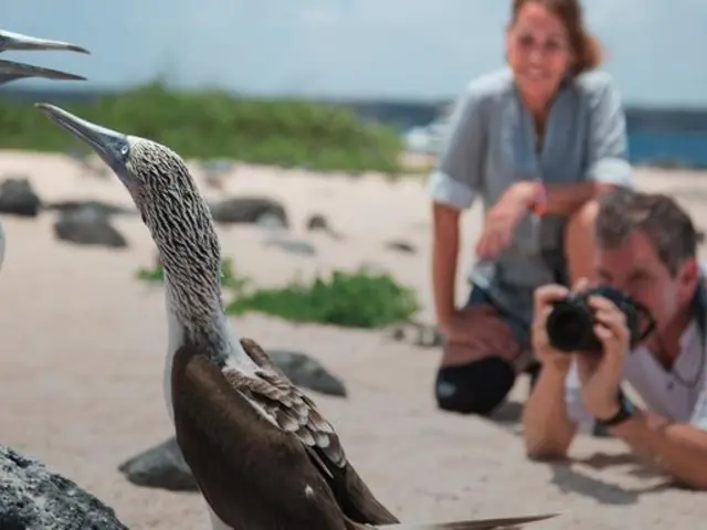 The Galápagos: Wildlife of Santa Cruz & Isabela Islands