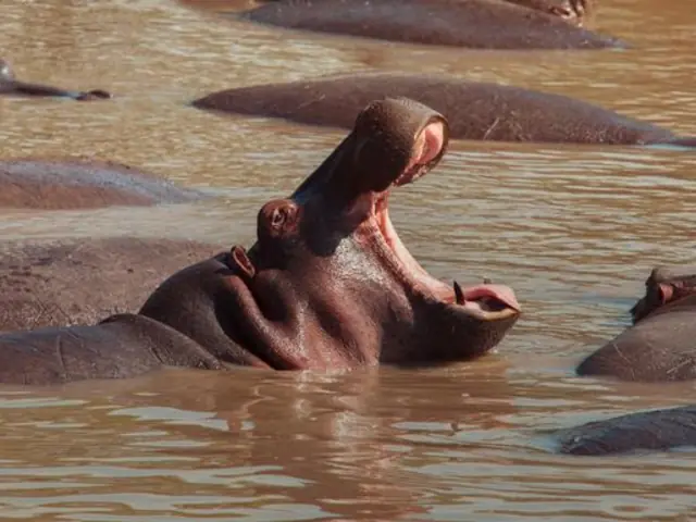 Kenya: Cultural Connections, Mt Kenya & Maasai Mara