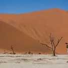 7d8dcd9f98354963245d9ce03916b83e.jpg