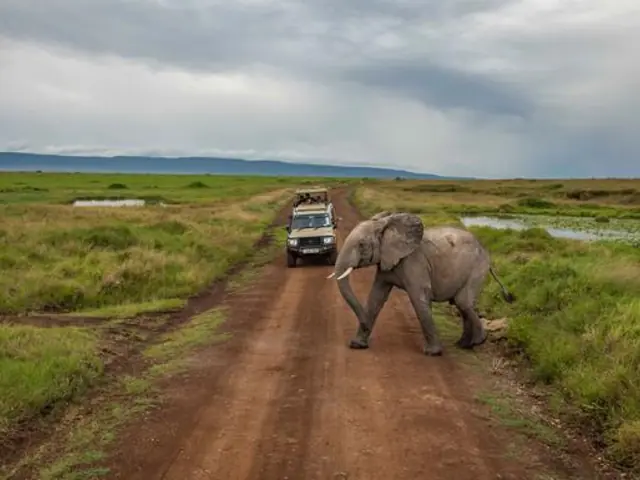 Kenya to Zimbabwe Overland Safari & Participation Camping