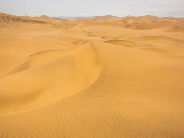 Namibia to Cape Town Overland Safari & Participation Camping