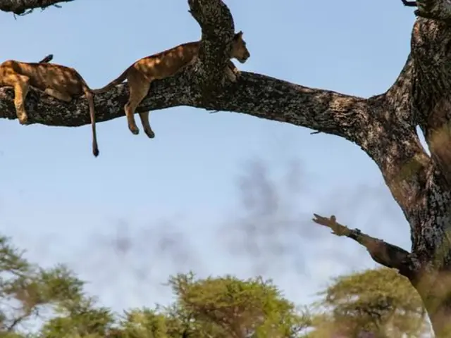 Nairobi to Cape Town Overland Safari & Participation Camping