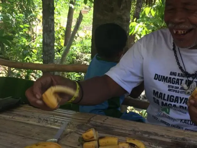 Manila: Jungle Treks, Delicious Bites & City Sights