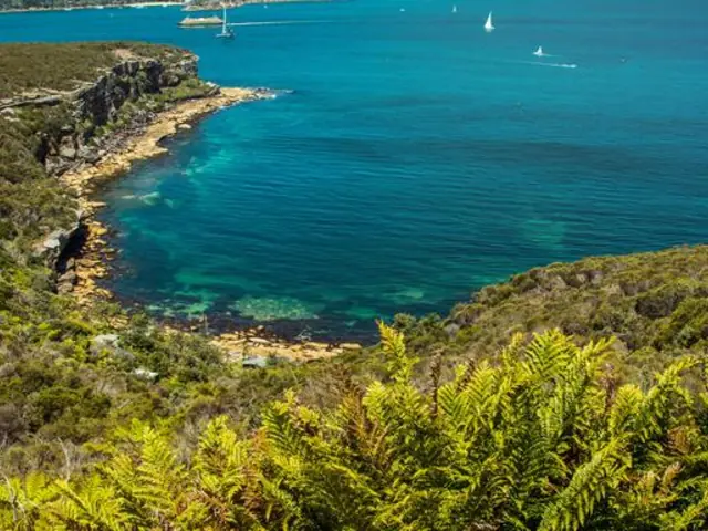 Sydney Roundtrip: Australia's Greatest Hits