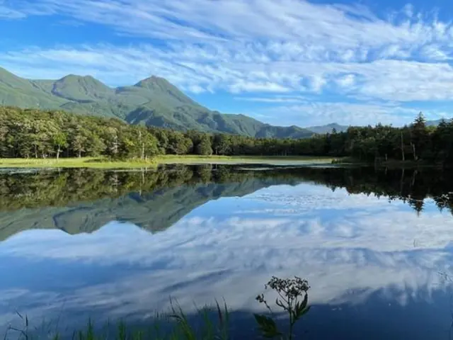 Active Northern Japan: Tokyo & Hokkaido