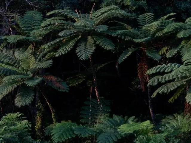 Active Japan: Hokkaido Highlights & Okinawa Island Hopping