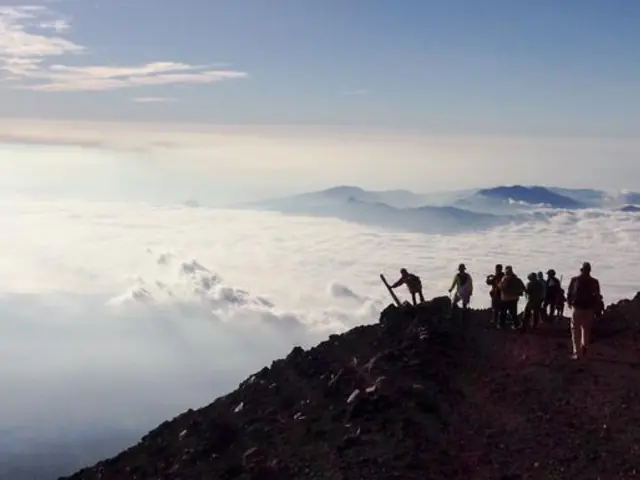 Absolute Active Japan