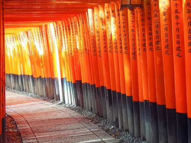 Active Japan: Kyoto to Tokyo Island Hopping