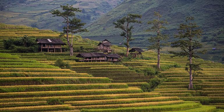 Classic Vietnam: Sapa to Ho Chi Minh