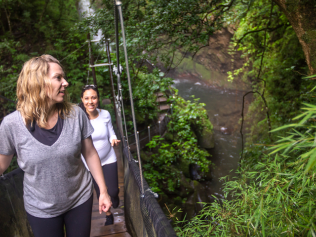 Costa Rica: The Wonders & Wildlife of the North