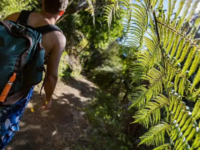 Australia And New Zealand: Bushwalks & Beaches