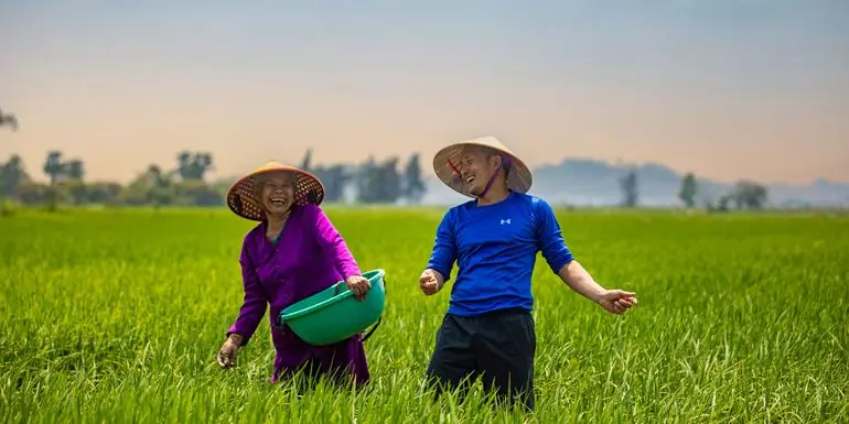 Solo-ish Vietnam