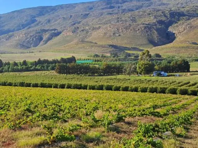 South Africa: The Garden Route