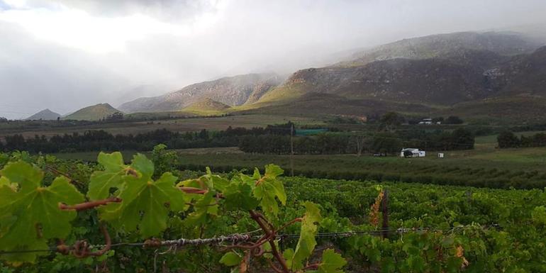 South Africa: Cape Town & The Garden Route