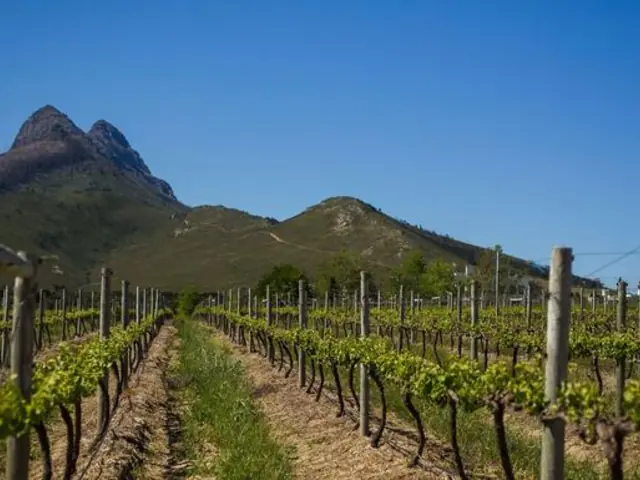 Ultimate South Africa