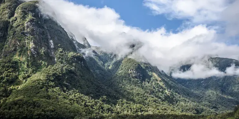 Solo-ish New Zealand