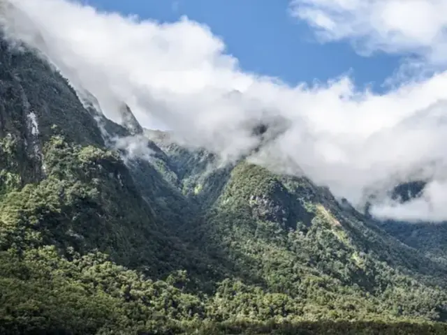 Solo-ish New Zealand