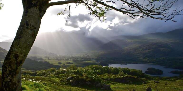 Ireland: Coastal Hikes, The Beara Peninsula & Killarney National Park