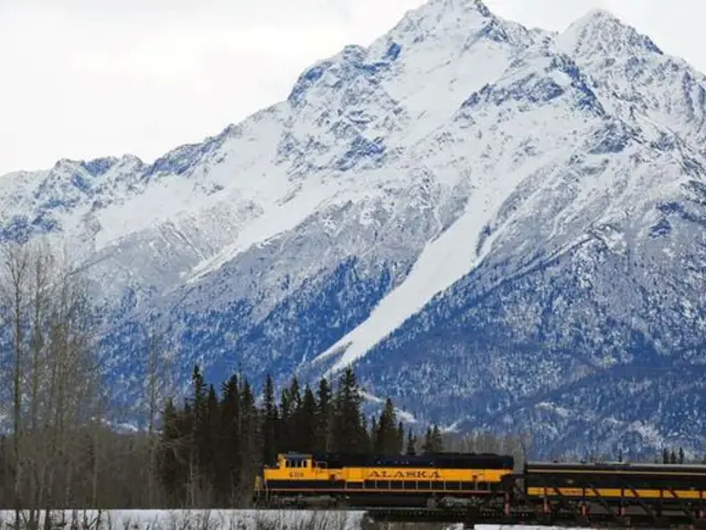 Alaska in Winter: Northern Lights & Dog Sledding Adventure