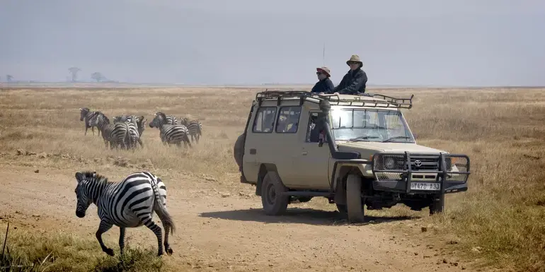 Tanzania Uncovered: Wildlife of the Serengeti & Ngorongoro Crater