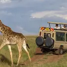 771d912b8534f48b14366398c35be4d2.jpg