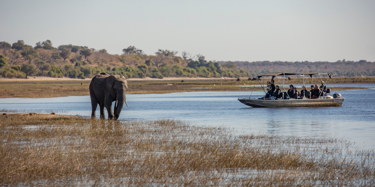 Complete Botswana: National Parks & Delta Wildlife