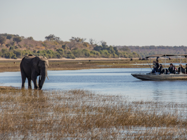 Complete Botswana: National Parks & Delta Wildlife