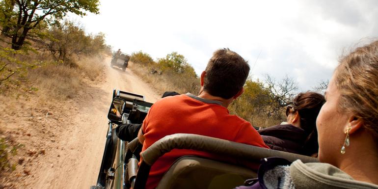 Ultimate African Safari: Kruger, Hwange, Chobe, & the Okavango Delta